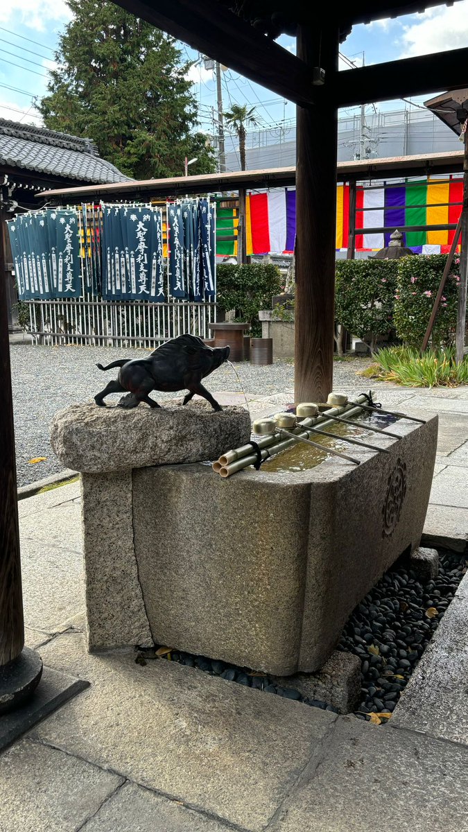 Hellgar2323's tweet photo. ¿Sabías que el Okazaki jinja es un santuario dedicado a los jabalíes? Estos animales te protegen para tener un parto rápido (spoiler: no funcionan😭) 

#Japon 
#kyoto https://t.co/rmqukDwkbQ