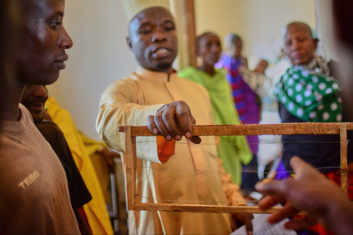 PINGO's Forum tweet media