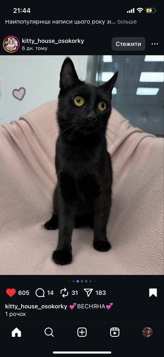 Яка вона кумедна 🥹 хочу, щоб швидше дім знайшла