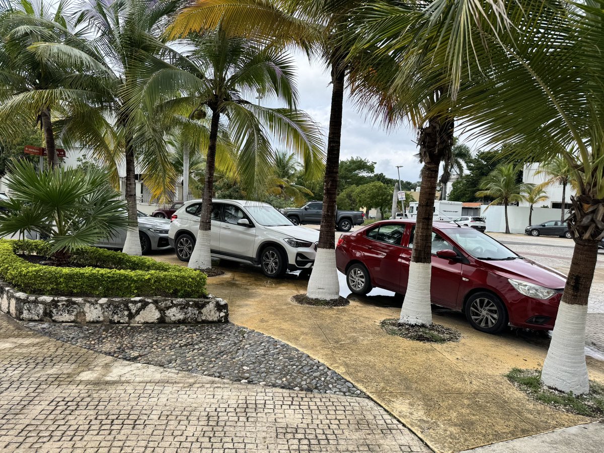 Con una vez q vengan a poner orden! Una!! Pero no, les da hueva! <a href="/TransitoBJ/">Tránsito de Cancún</a> <a href="/AytoCancun/">Ayto Benito Juárez</a> <a href="/anapatyp/">Ana Patricia Peralta</a> av isla mujeres y av acanceh sm12