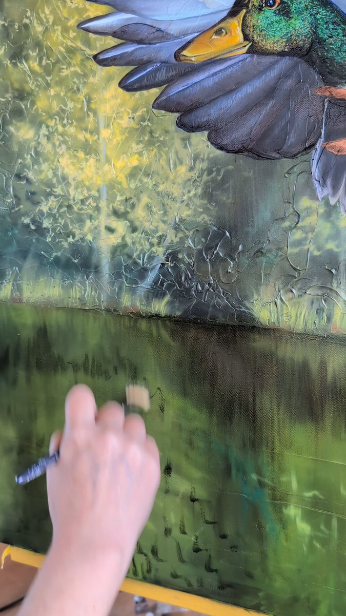 RichterAllison's tweet photo. Studio work today on the Mallard 🦆. Building the water reflections and shaping the colors before adding the reeds 🌾.
#mallardpainting #wildlifeart #artiststudio #oilpainting #birdart https://t.co/qnqRIacWje