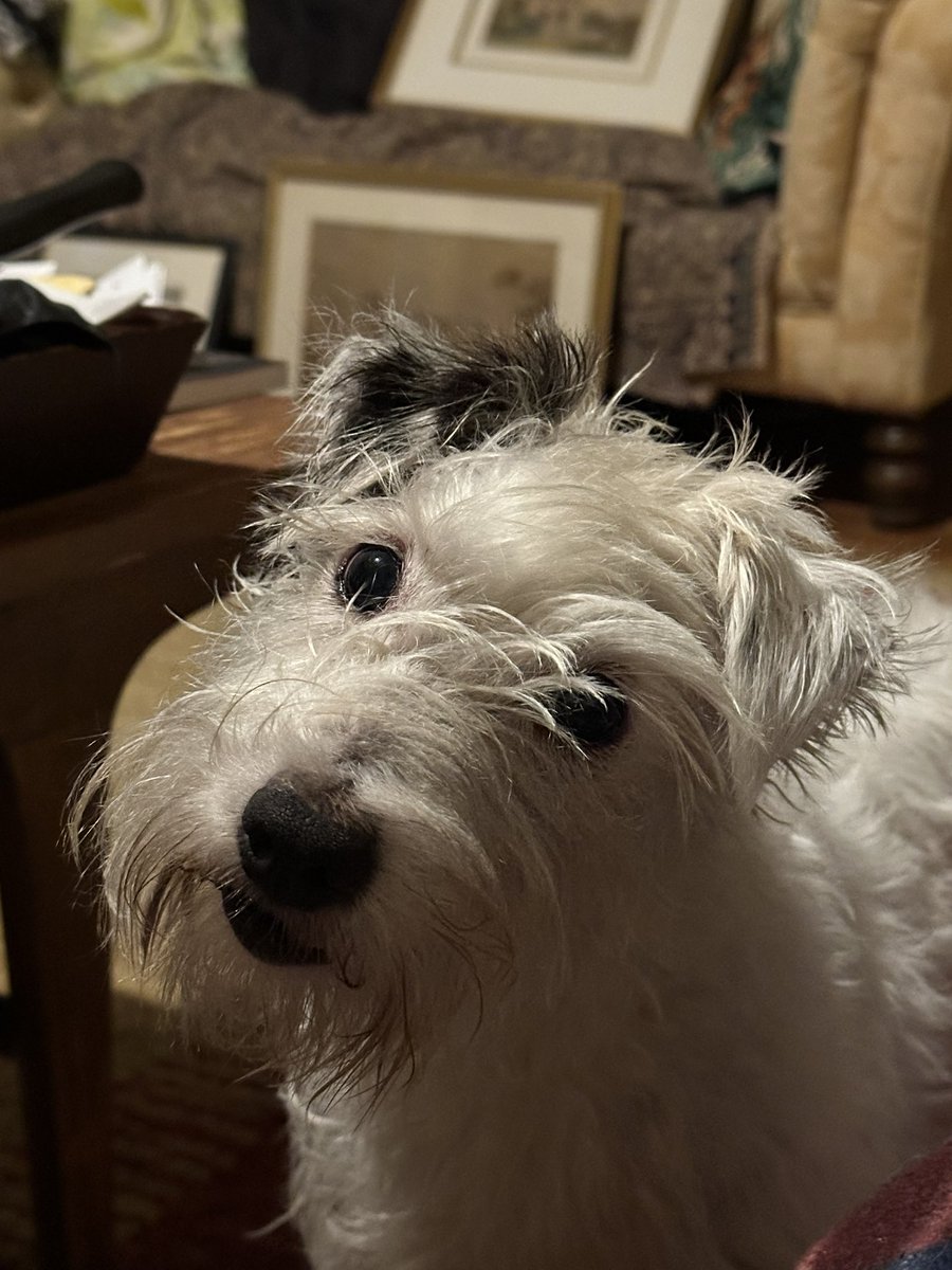 Robert Howard tweet media