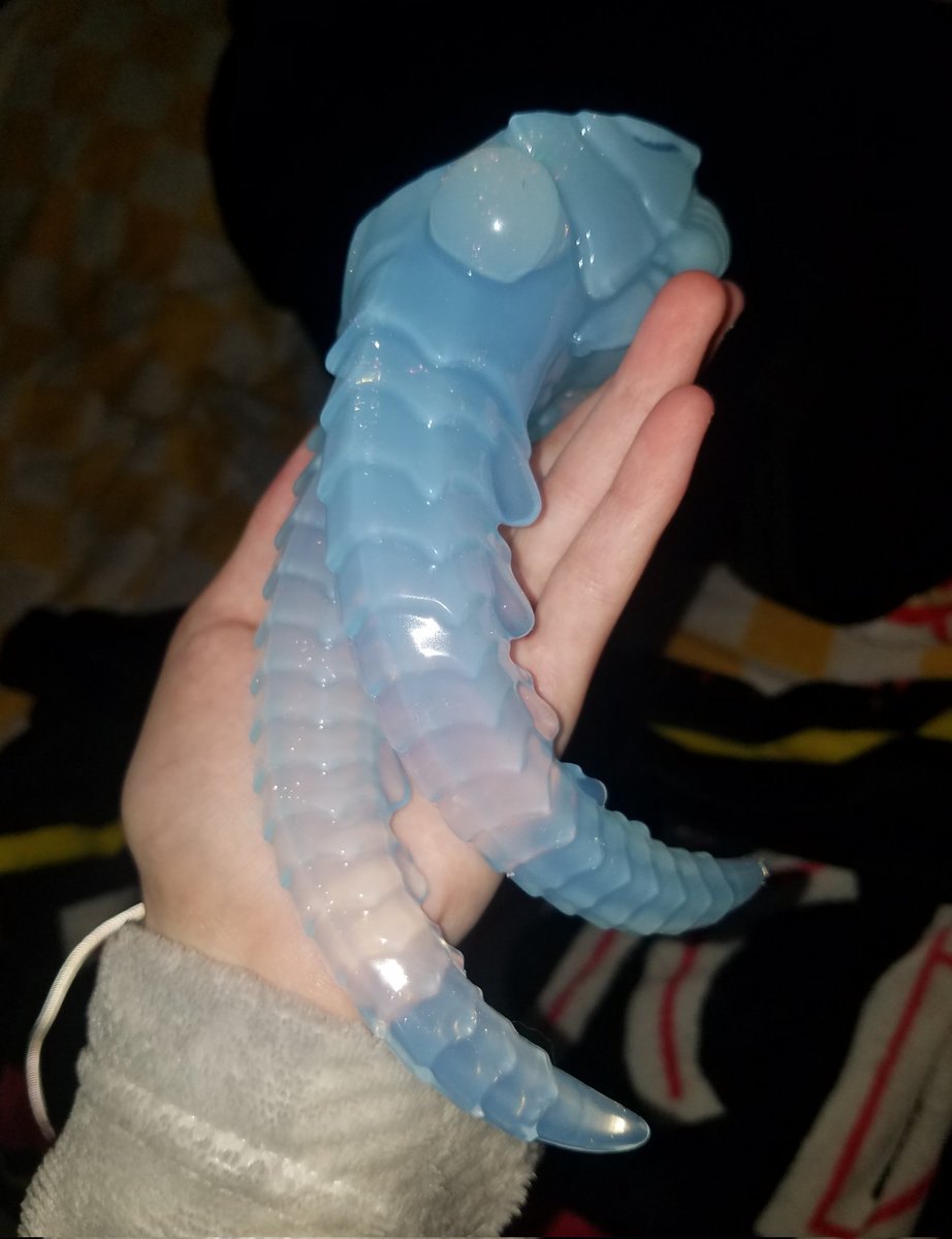 silicone_bones's tweet photo. Long time no see haha I havent bought myself a dong in about a year because im currently spending every dollar on collector plushies but the black friday sale at @AlchemistEchid did get me and theres a new shrimp in the house 🎉🎊 https://t.co/D17T9kHKpE