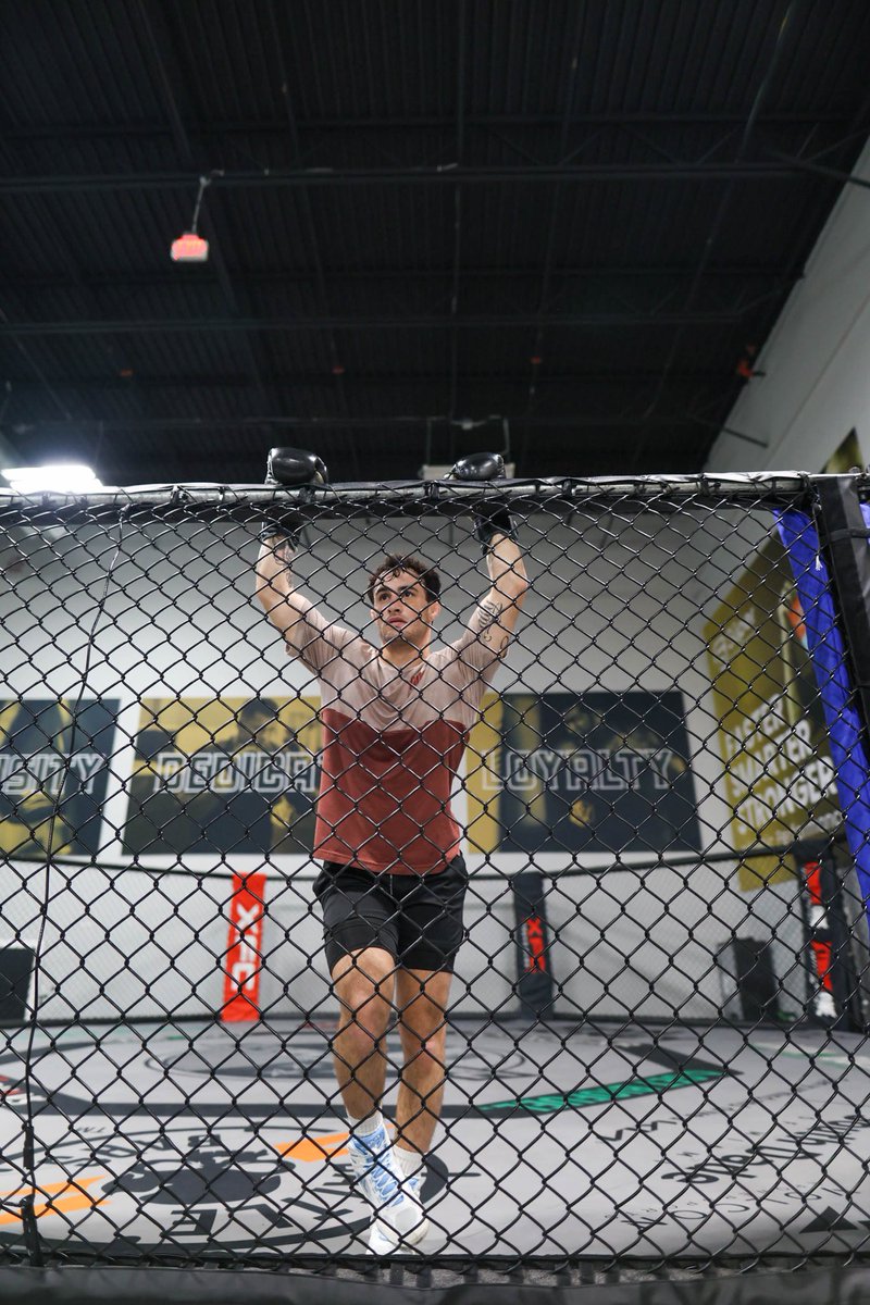 michaelblockhus's tweet image. 