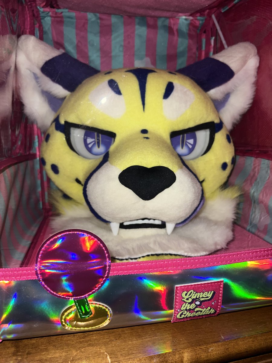 AKITA 🔜 TFF tweet media