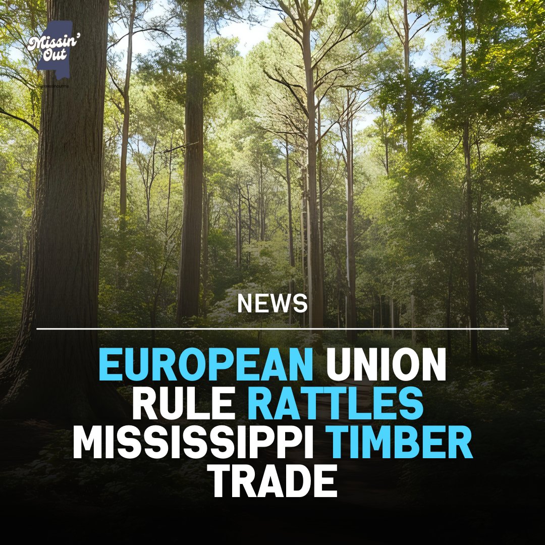 MissinOutMS's tweet image. 🚨 EU's new deforestation regulation is shaking up Mississippi's timber industry! Confusion &amp;amp; financial concerns arise for landowners. It's time to address our forests! 🌳 #TimberTrade #Deforestation #EURegulations