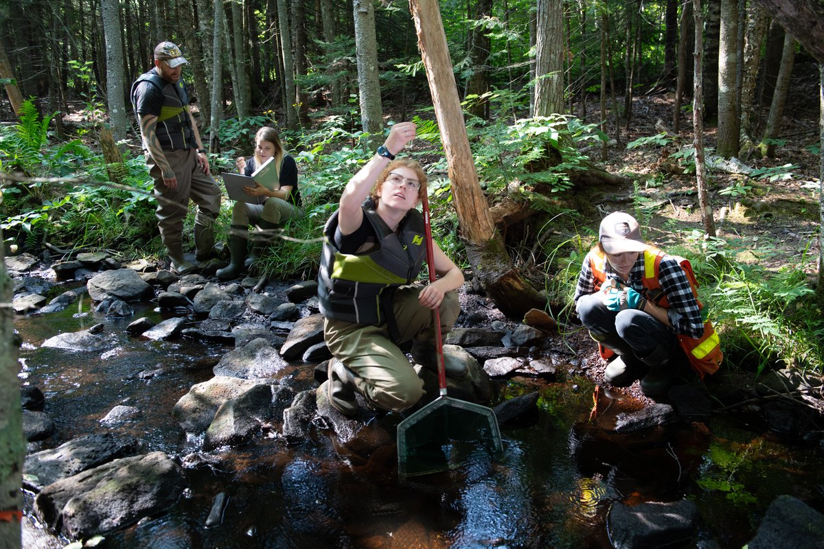 keyanocollege's tweet image. Keyano College and UNB launch a new 2+2 Environmental Studies pathway.

Keyano's Environmental Tech grads can now complete a 4-year BSc degree at UNB. 

Local learning, results for a career in sustainability.

More details: ow.ly/ipUK50XGs4C