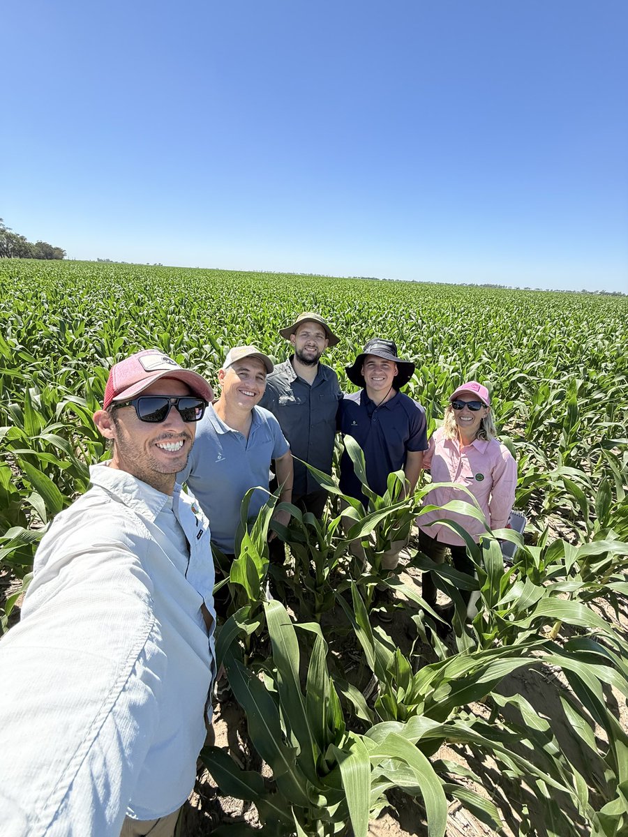 Julio C. Gallo tweet media