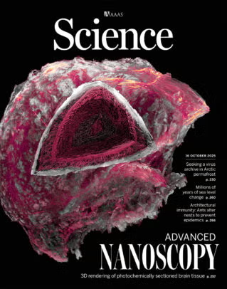 .<a href="/thisisUIC/">University of Illinois Chicago</a> researchers developed a fluorescence imaging method that captures sharp images of large biological specimens.🧠

They examined and computationally reconstructed part of a mouse brain in 3D. Their work appeared in <a href="/ScienceMagazine/">Science Magazine</a>.

📰today.uic.edu/uic-biochemist…