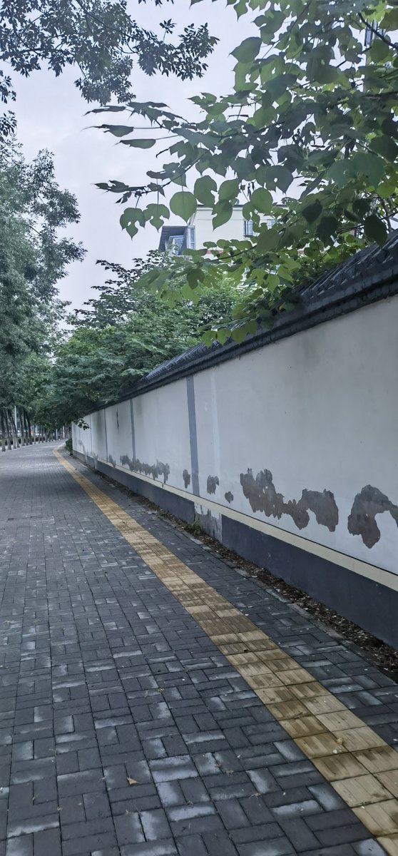 Estrell08738815's tweet photo. 今日晨跑邂逅老巷烟火气，转角遇见晒满桂花的竹匾，风里都是甜的～♀ https://t.co/R9E4W9H2Um
