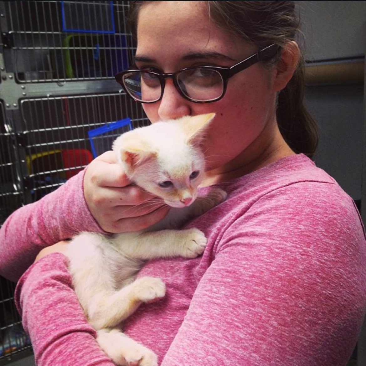 dykedolly's tweet image. my 13 year old cat who ran away 9 years ago was found and i just picked him up 😭😭 9 YEARS... look at my little christmas miracle