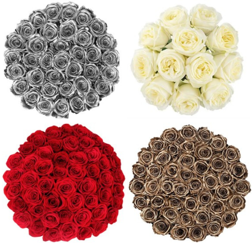 Bold reds, glowing golds, sleek silvers, and dreamy whites—your premium rose collection is here!
Shop Now: wholeblossoms.com
Visit us on Facebook: facebook.com/WholeBlossoms
Visit us on TikTok: tiktok.com/@wholeblossoms
Visit us on Instagram: instagram.com/wholeblossoms/