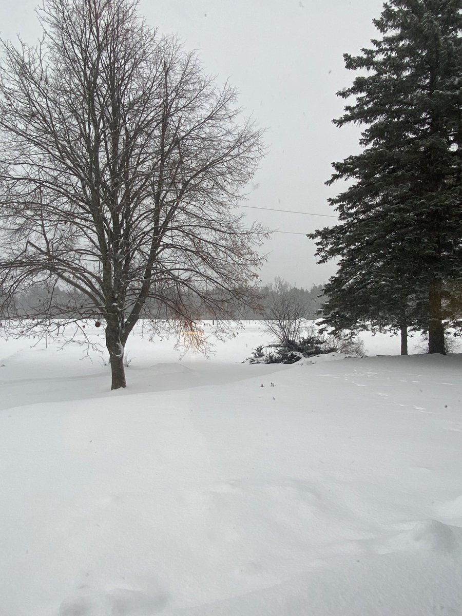 Aaron de Vos tweet media