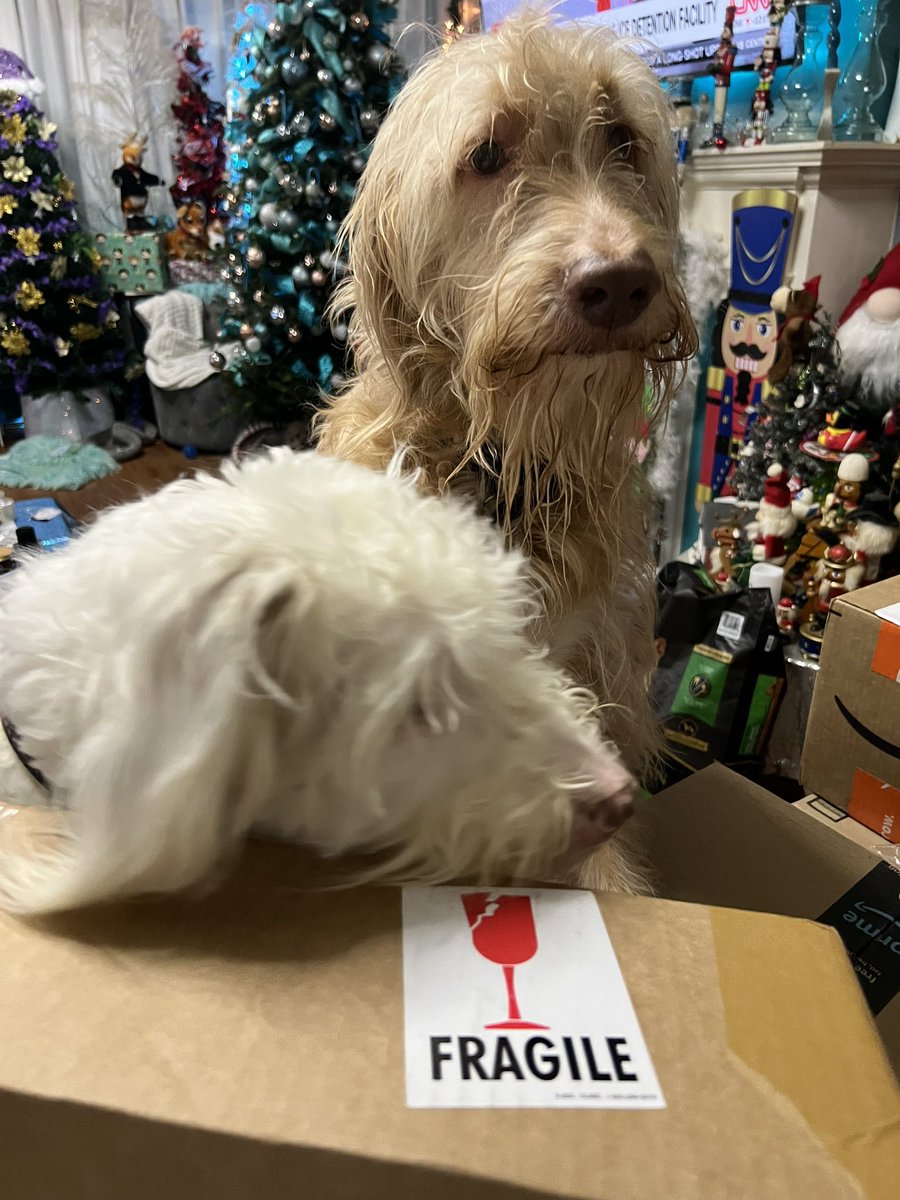 FRA-Gee-Lee. Must be Italian. 

Hope it’s a leg.  #AChristmasStory