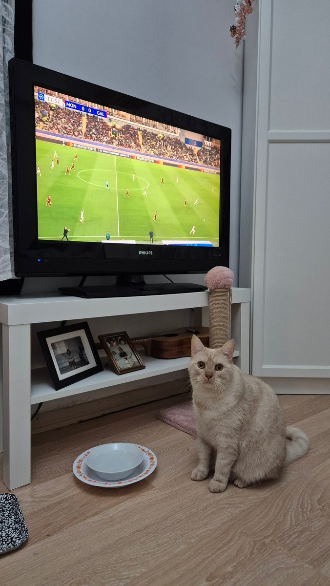 Hadi GS gol At artıkkkkk