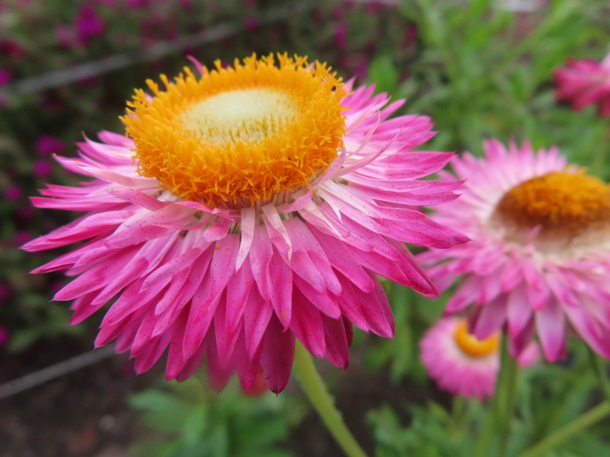 kumi ꕤ*.ﾟ (@kumi59661974) / Posts / X