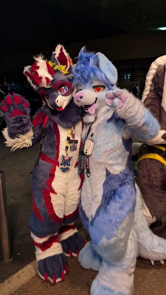 Zeekainthree's tweet image. Always loved taking pictures with thr fursuit family &amp;gt;&amp;lt;
Fluffy derg:@AvroSpear