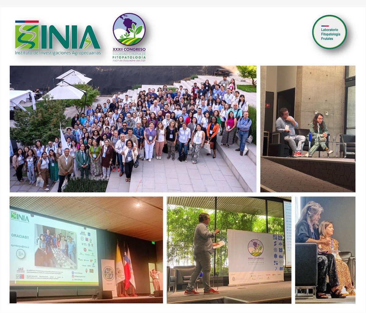Excelente participación del #LabFitoFrutales de <a href="/INIAQuilamapu/">INIA Quilamapu</a> temas de diagnóstico y epidemiología de hongos de madera en frutales en el XXXII Congreso de la <a href="/SochifitChile/">Sochifit</a>!! 🤩🍄🌳🪵🍑🍒