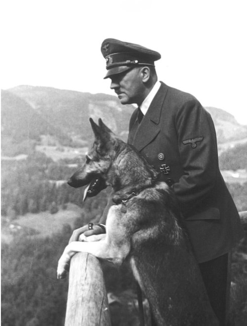 <a href="/TiboInShape/">Tibo InShape</a> "Je salue simplement le fait que ce soit un artiste et qu'il aime les chiens. Merci au revoir".

🤷