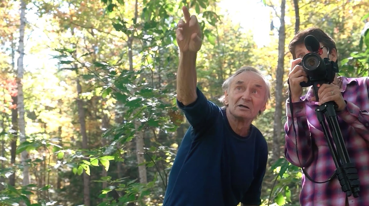 Campaign to Stop GE Trees tweet media