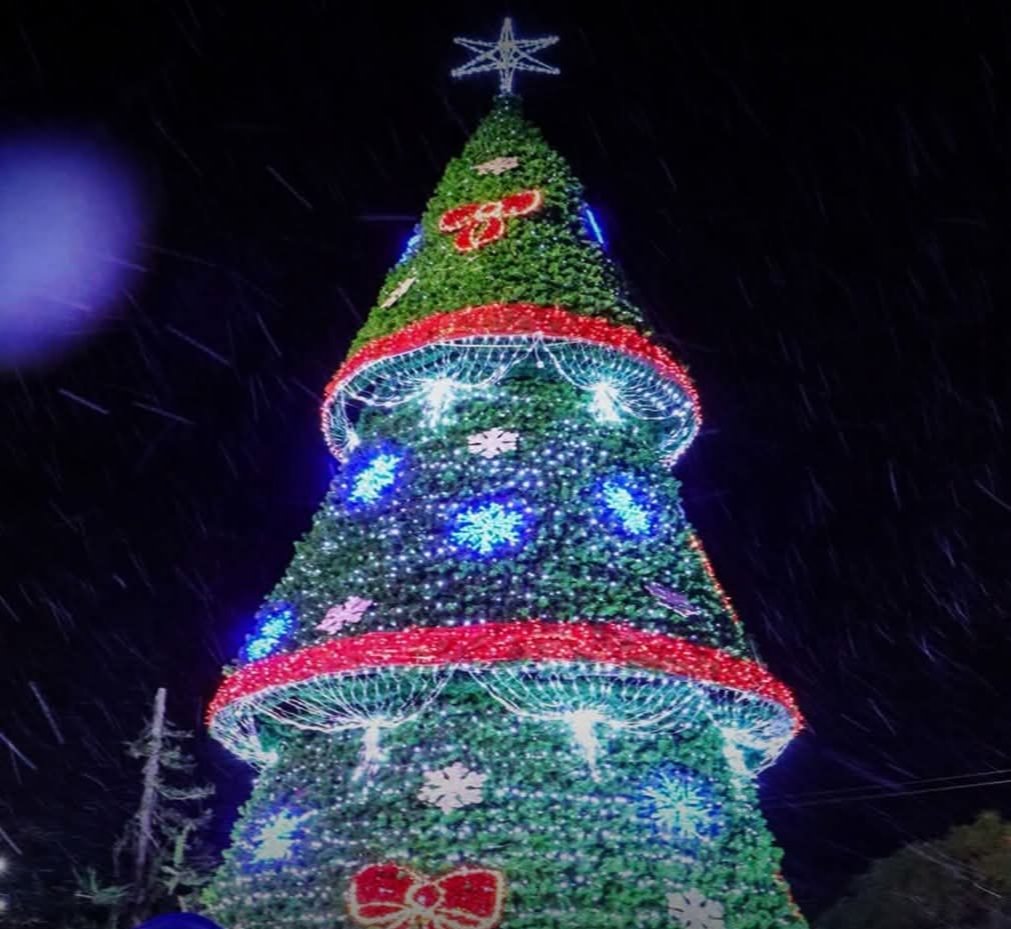 Son solo una burda imitación, hasta con el árbol navideño.
Modificar los nombres de las empresas no las hace nuevas.
Un ejemplo es Médica Azul  a la que ahora nombran hospitales cruz azul.