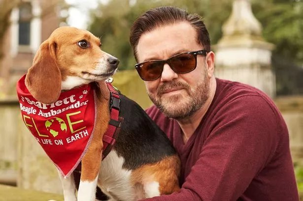 Ricky Gervais donates $3.2 million to animal charities for Christmas. 

The British comedian has announced the massive donation of £2.43M ($3.2M) from the proceeds of his recent ‘Morality’ stand up tour, giving the money to a variety of animal charities. 

Gervais has donated to