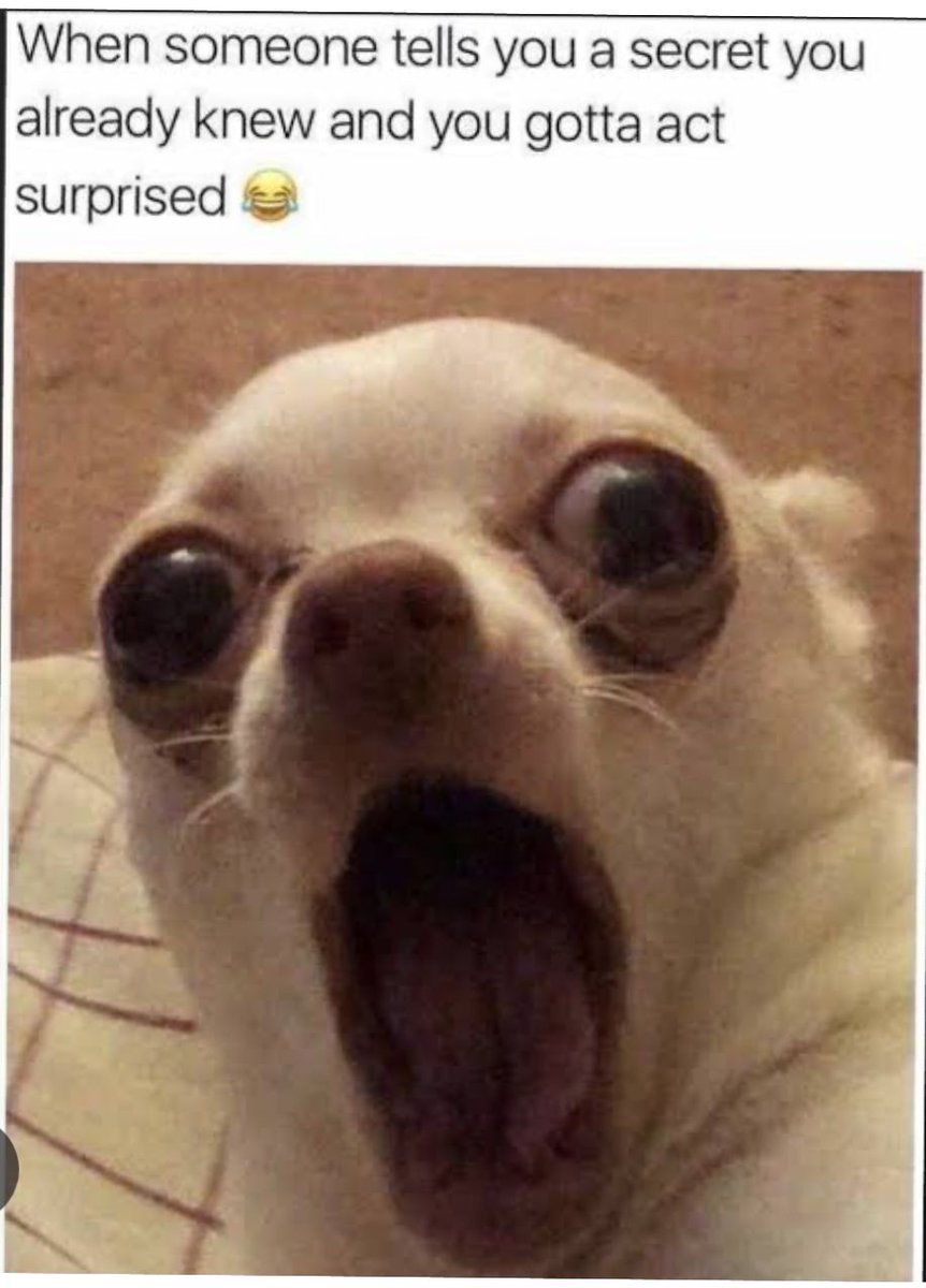 StephanieU404's tweet photo. This is me fr, I just can't help it.😂💔 https://t.co/fNwAcr0YpL