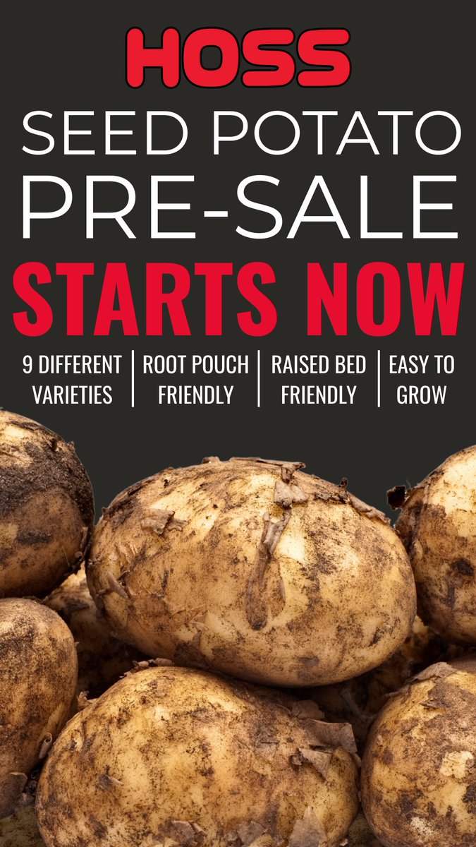 Who's ready to start planting potatoes? #growhoss #growyourownfood growhoss.com