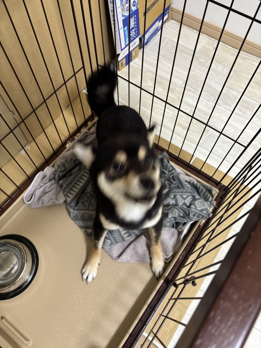 おはようございます。
今朝は冷えますよ〜
水曜日はじまりま〜す