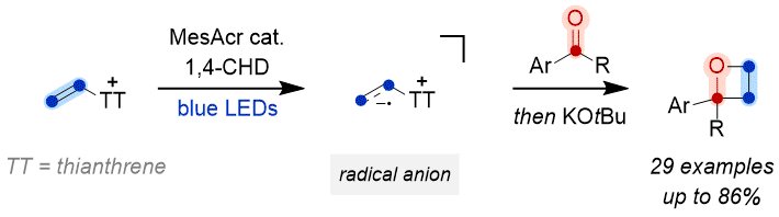 SchindlerLab tweet media