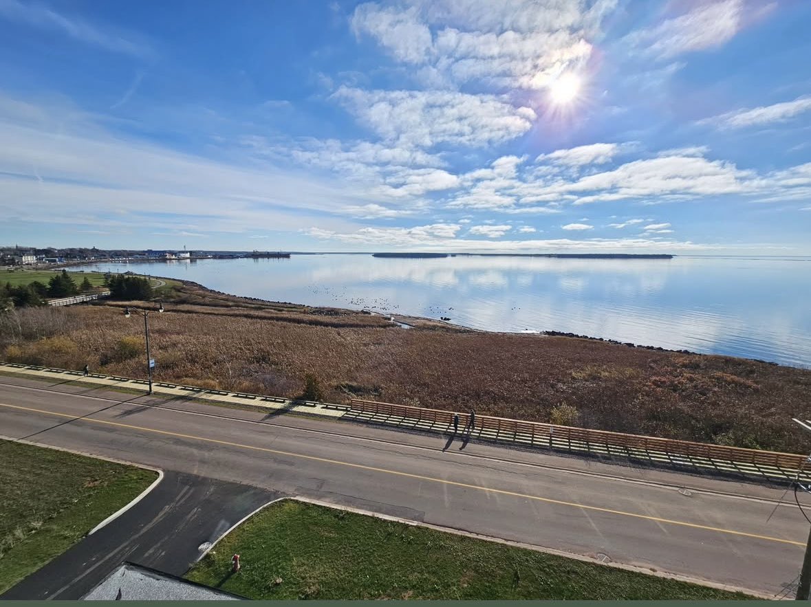 Harbour’s Edge Development tweet media