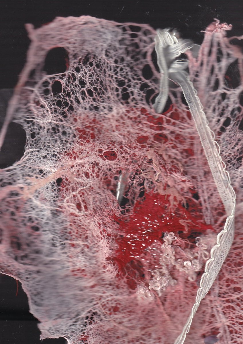 b_oooookiee's tweet image. 재밋다 ㅎㅎ