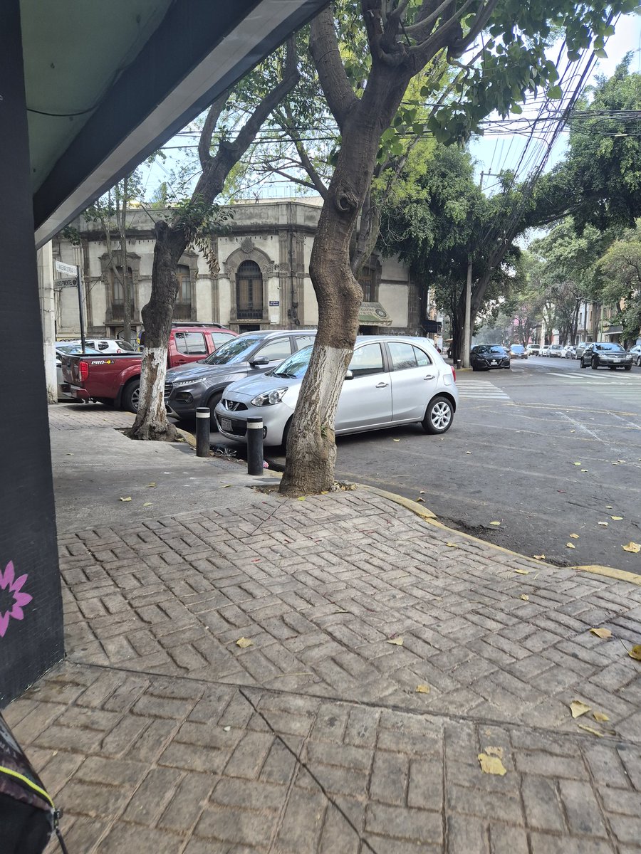 Itzel Yuki Jaramillo tweet media