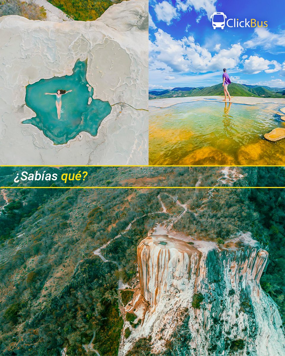 Click_Bus's tweet image. Sabías que en Hierve el Agua, el agua mineral brota de la montaña y se “calcifica” al aire libre por miles de años, creando unas espectaculares caídas petrificadas.

Este fenómeno es tan único que solo existe otra formación similar en Turquía.

🎫de🚍 👉 clickbus.com.mx