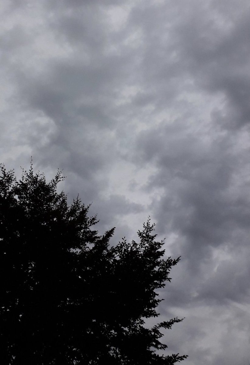 « الجو روعه والسما كلها غيوم »
والأرض مبتسمه على شوفة الغيم .