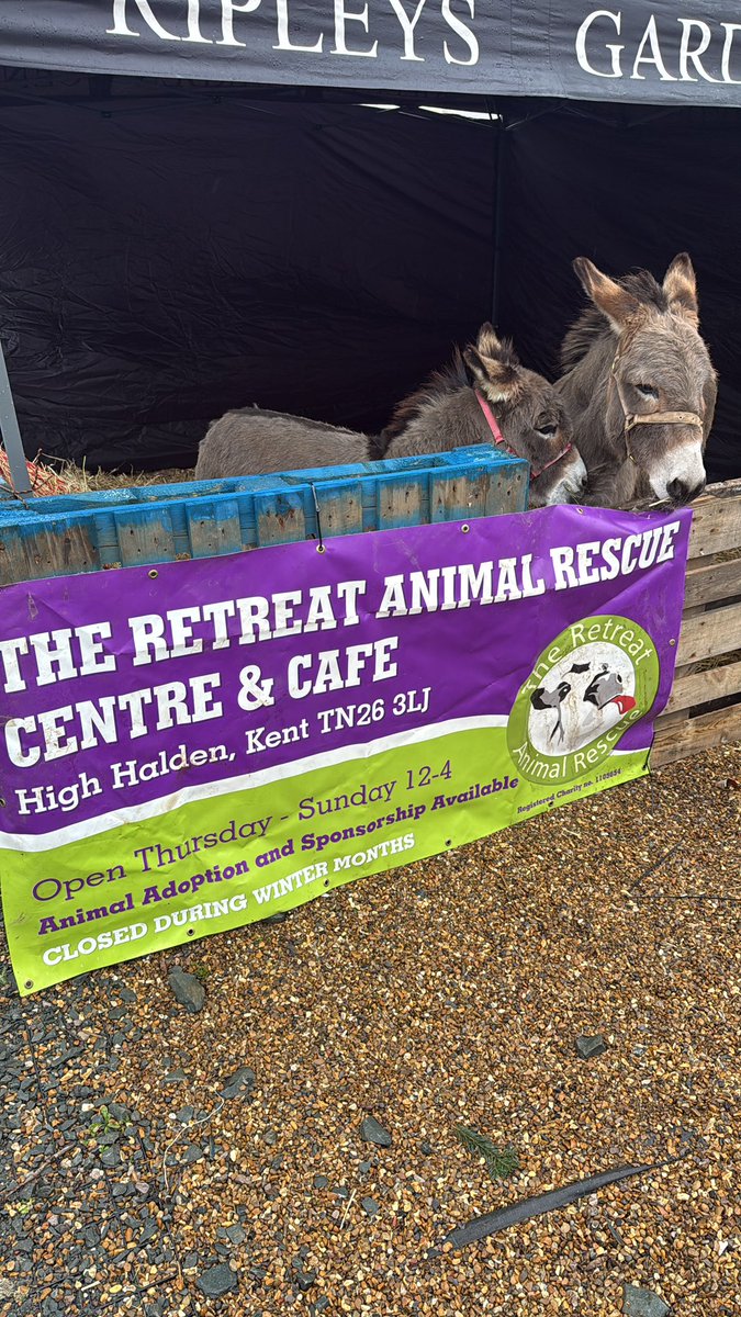 Tom Ripley tweet media