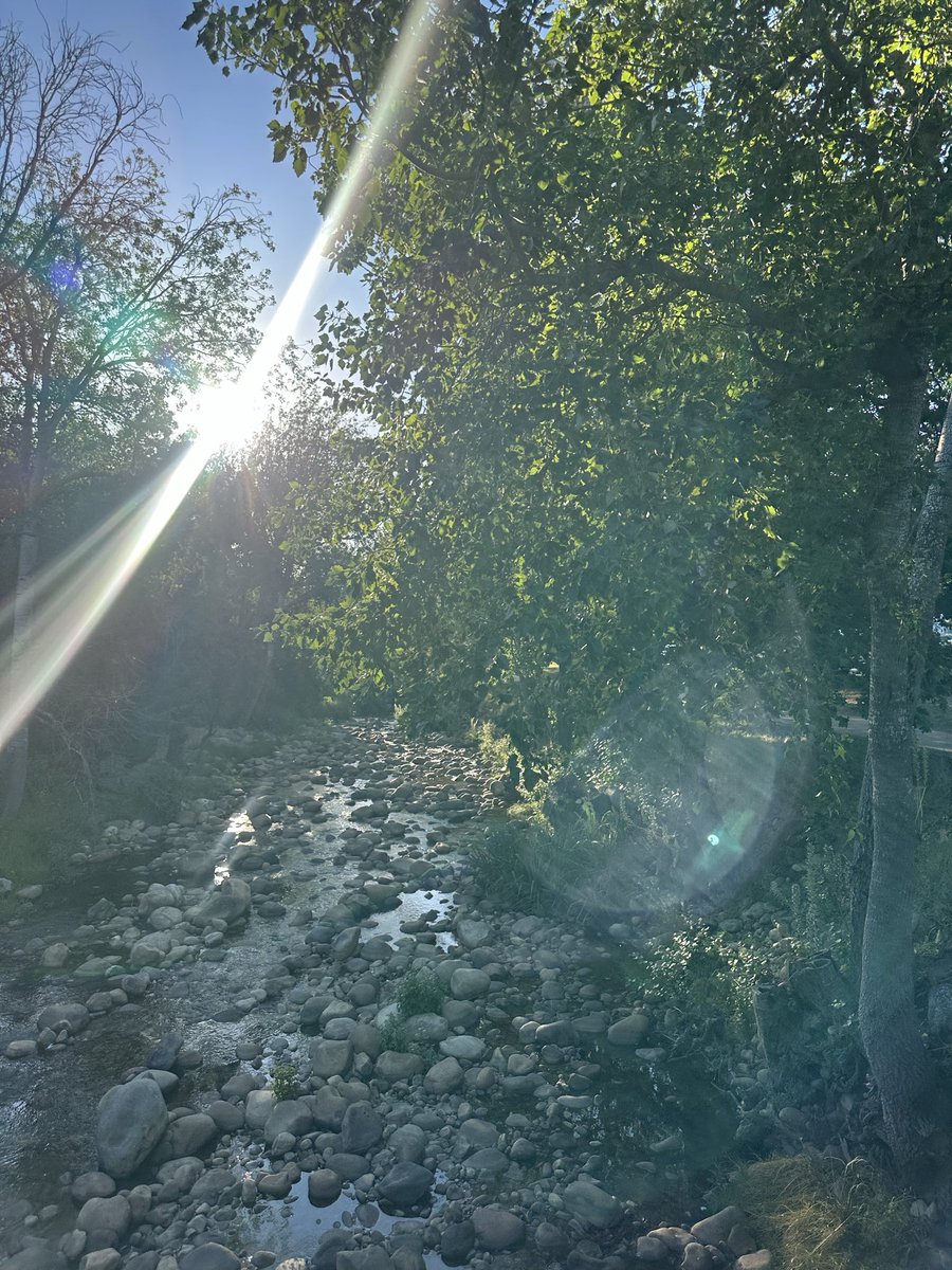 dane_rhode's tweet photo. Went on such a nice run today 🏃‍♂️ https://t.co/e1Is1tWTPj