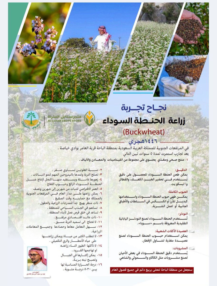 AlsarahFarm's tweet photo. @saud_alshehry_ نفتخر لزراعة الحنطة السوداء البلدي بمزرعة السراة العضوية ببلجرشي كاول مزرعة بالمملكة وجميع منتجاتنا عضوية بشهادة الانتاج العضوي. 
للطلب عبر المتجر الالكتروني 
حنطة سوداء بلدي 1000 جرام - متجر سنابل السَّراة https://t.co/QTyz3ty5un https://t.co/4HhViqCIka