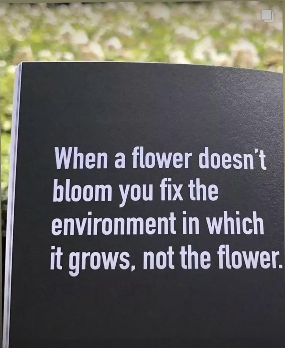 mindfulmaven_'s tweet photo. https://t.co/s6BtFqd9iG