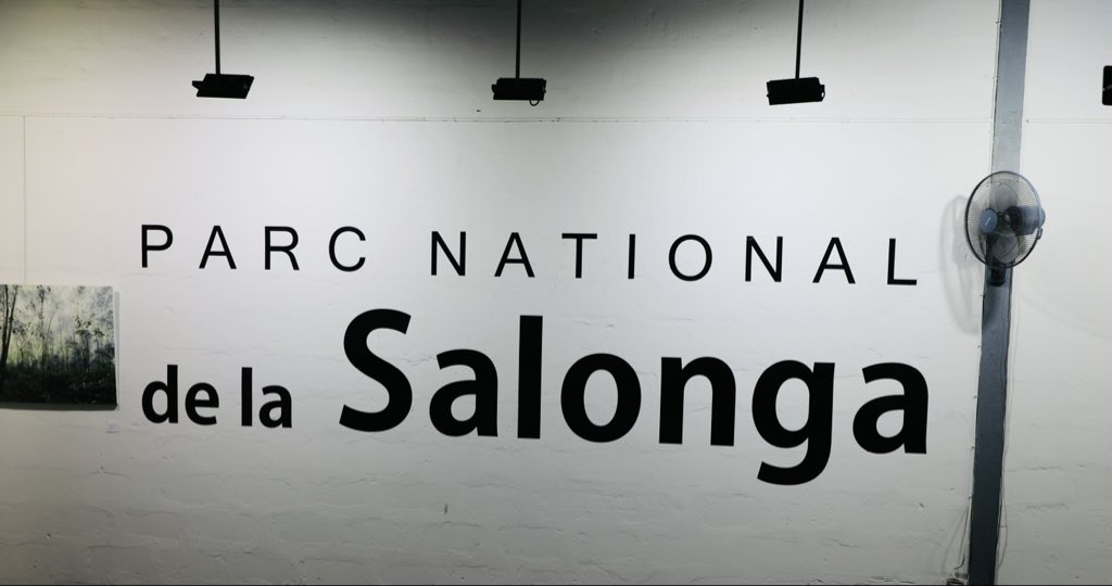 carinelobela20's tweet image. Jeudi dernier, j’ai eu le plaisir de rencontrer le Directeur du PN de la Salonga 🌴 et le Directeur de coopération de @IccnRdc à #Kinshasa 

Un grand plaisir et une belle opportunité de collaboration pour @equigreen ✌🏻

#exposition #peinture #photo #conservation