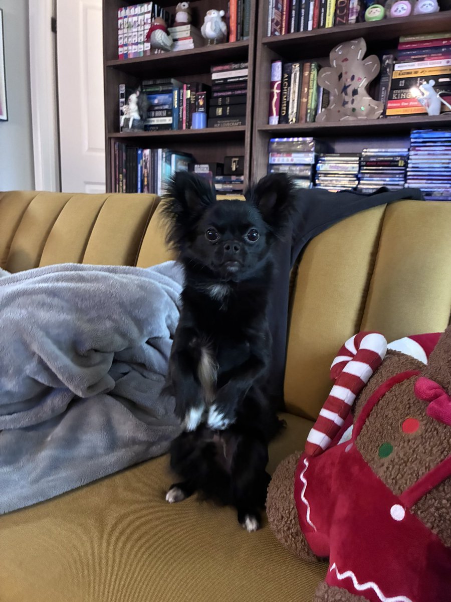 MUST DIE! tweet media