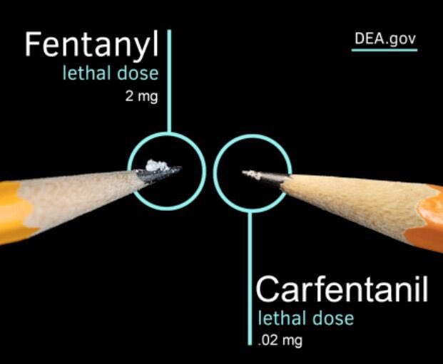 🚨 CARFENTANIL ALERT:
We share the concerns of <a href="/CSPDPIO/">Colorado Springs Police Department</a>. 
As of November, CSPD had 61 fatal drug ODs this yr - 29 were fentanyl or carfentanil (100xs more powerful).
⚠️ Of the 700K+ pills seized in CO Springs, nearly 27K tested positive for carfentanil.
DEA.gov/onepill