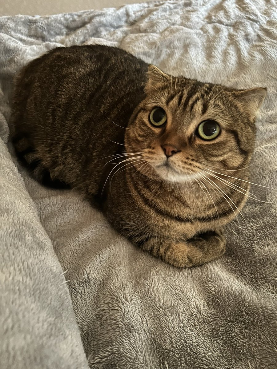 はると (@tomeji1106) / Posts / X