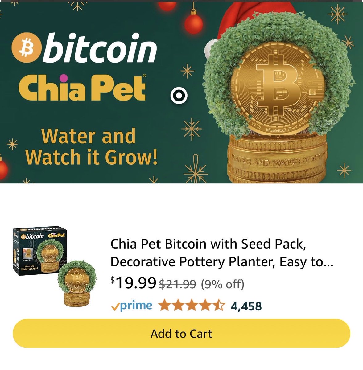 CryptoScruett's tweet image. Bitcoin is officially taking over! #Bitcoin #chiapet