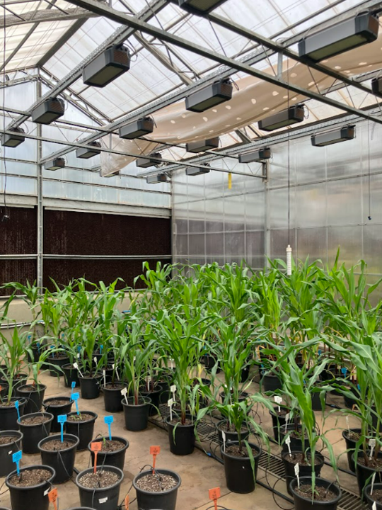 Gabriel Tinghitella tweet media