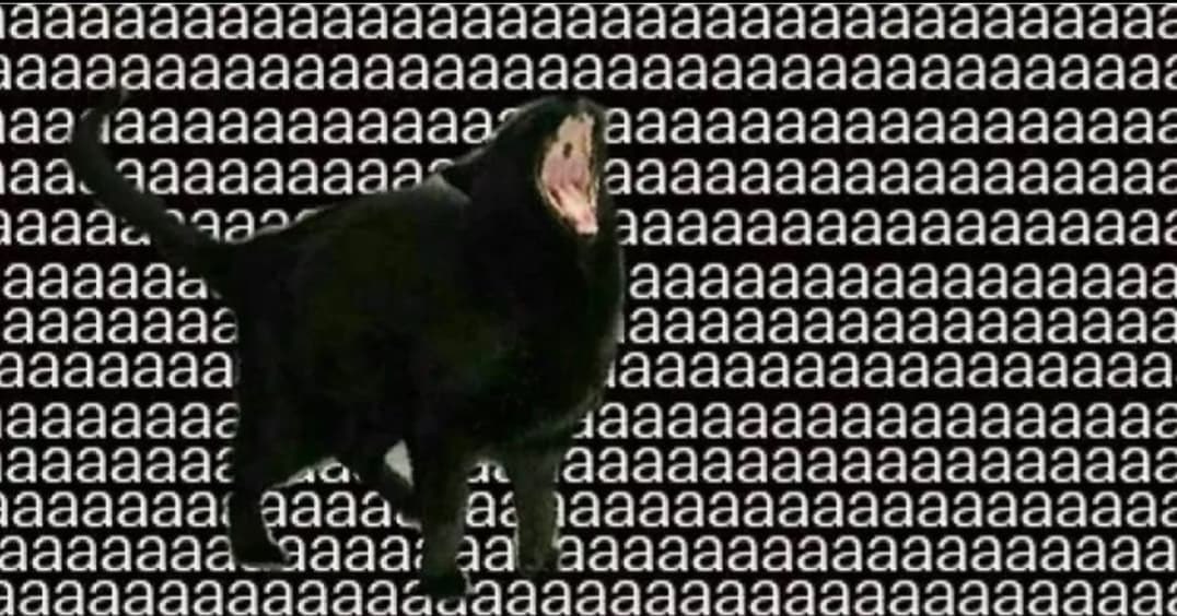 LunaSanches9's tweet photo. @rockinrio POSTA O RESULTADO DOS DESAFIOS POR FAVOR TEM CRIANÇA CHORANDO, GATO MIANDO
#AnoDeRockinRio https://t.co/QQcSmLTmQU