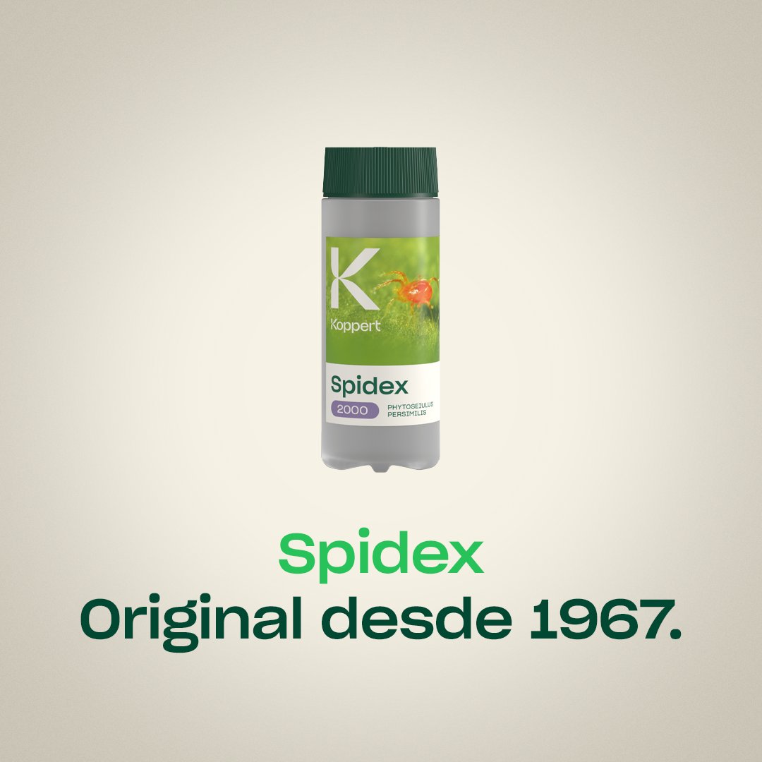 Koppert México tweet media