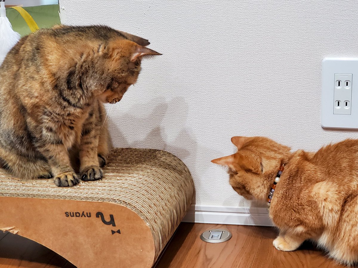 hana (@hana40710717) / Posts / X