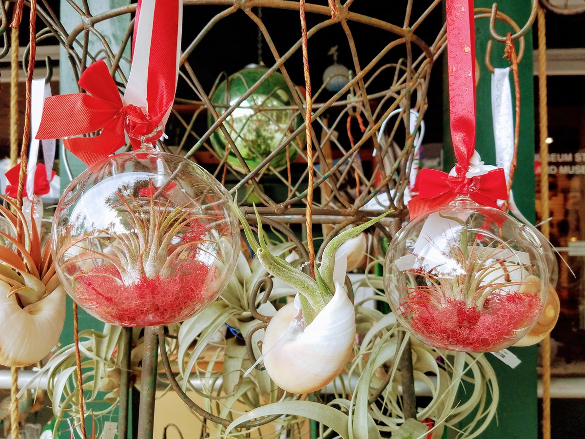 Edison & Ford Winter Estates tweet media