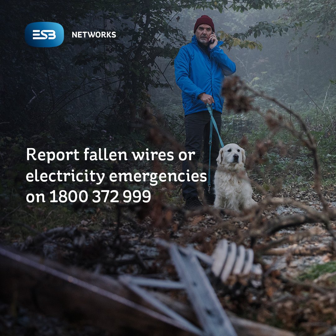 ESB Networks tweet media